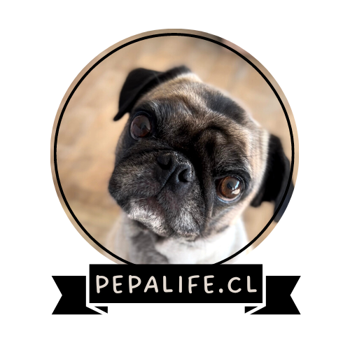 pepalife logo png